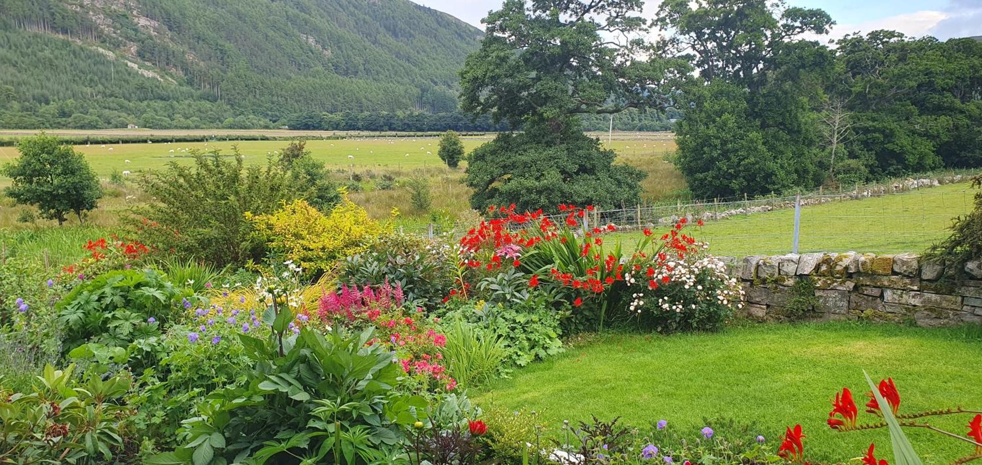 Clachan Farmhouse B & B Ullapool Dış mekan fotoğraf